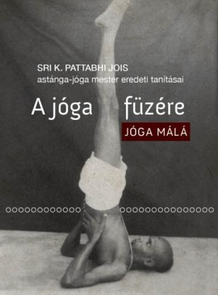 A JÓGA FÜZÉRE - JÓGA MÁLÁ