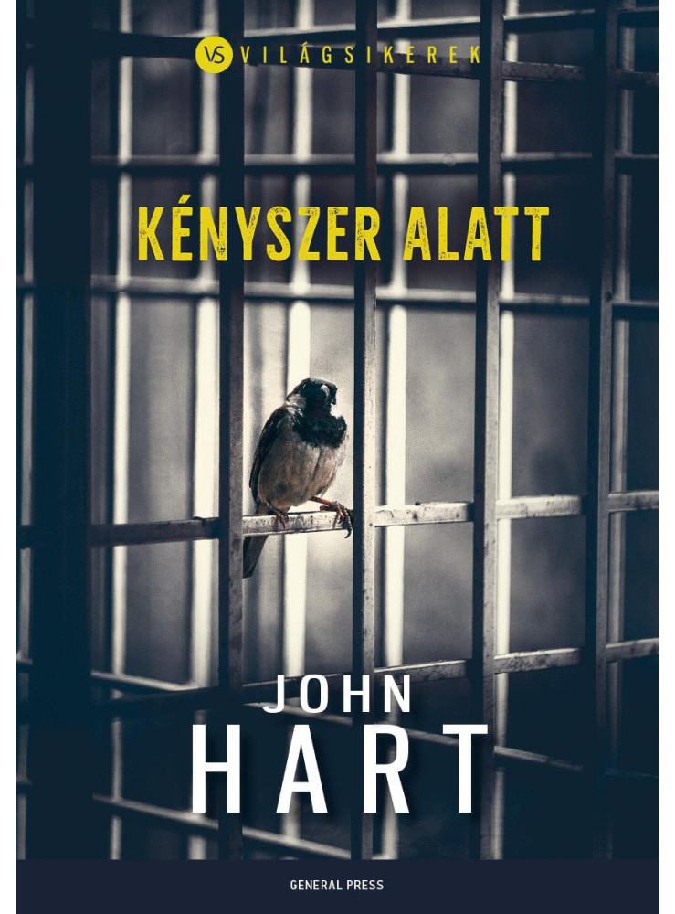 KÉNYSZER ALATT