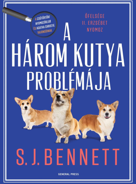 A HÁROM KUTYA PROBLÉMÁJA