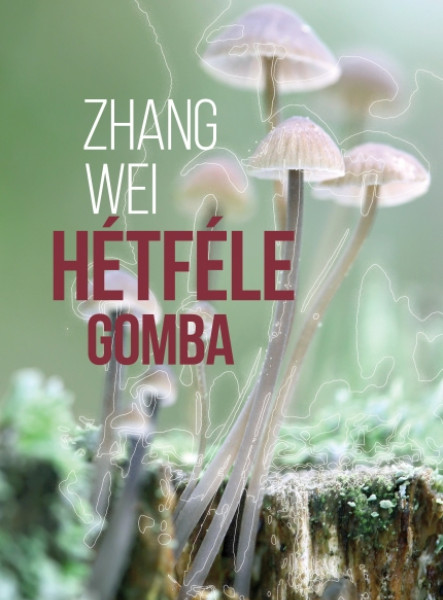 HÉTFÉLE GOMBA