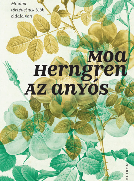 Az anyós (ekönyv)