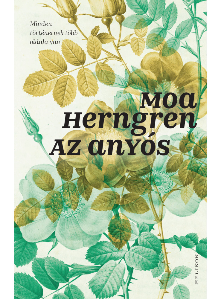 Az anyós (ekönyv)