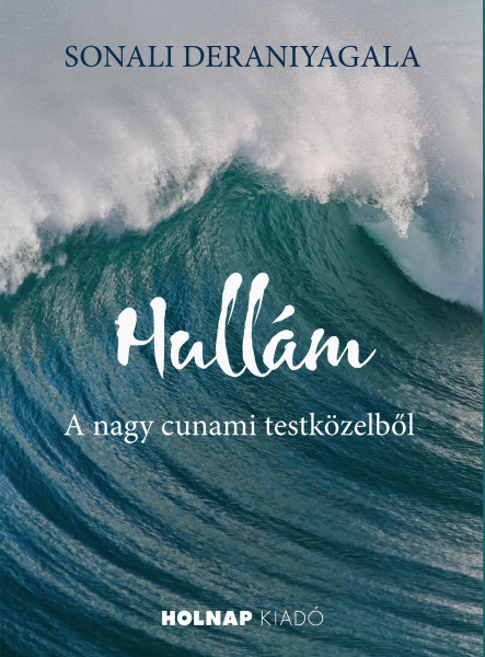 HULLÁM - A NAGY CUNAMI TESTKÖZELBŐL