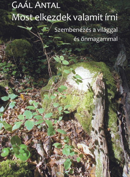 MOST ELKEZDEK VALAMIT ÍRNI - SZEMBENÉZÉS  A VILÁGGAL ÉS ÖNMAGAMMAL