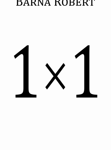 1 × 1
