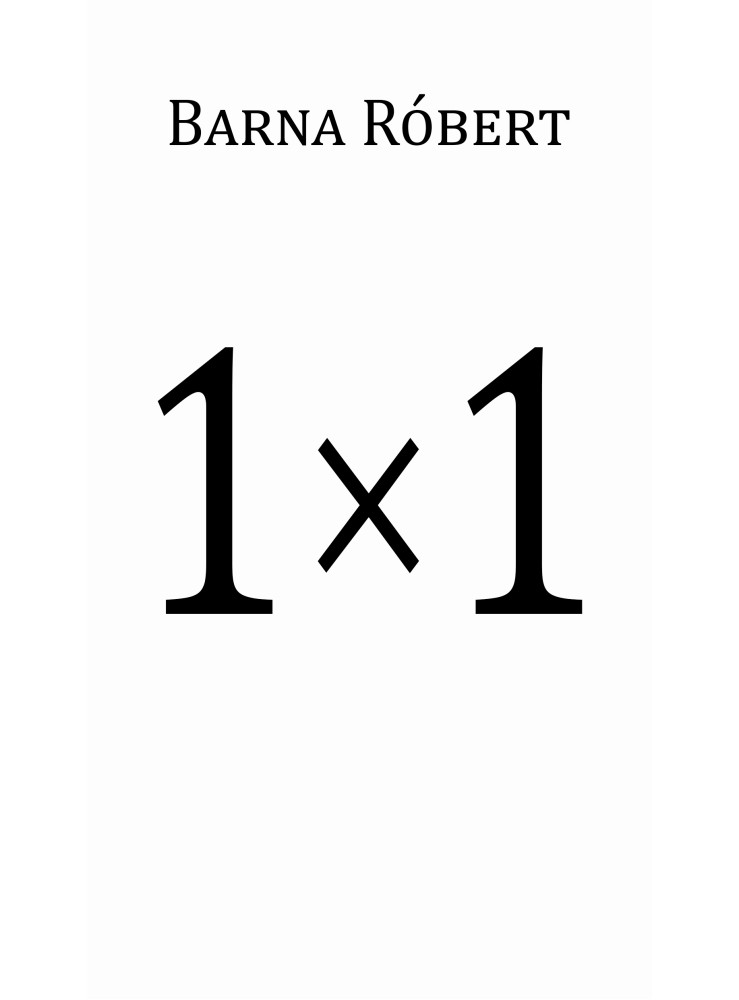 1 × 1 1 × 1