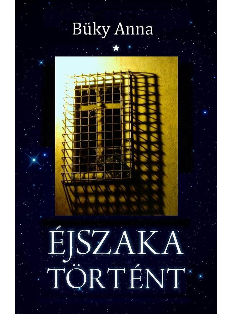ÉJSZAKA TÖRTÉNT