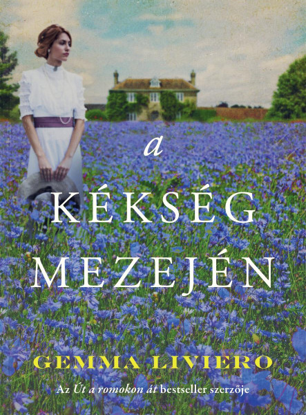 A KÉKSÉG MEZEJÉN