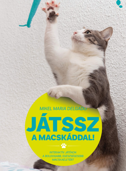 JÁTSSZ A MACSKÁDDAL!