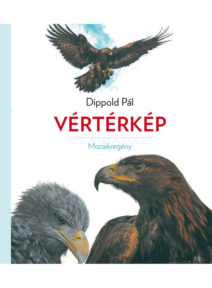 VÉRTÉRKÉP - MOZAIKREGÉNY VÉRTÉRKÉP - MOZAIKREGÉNY