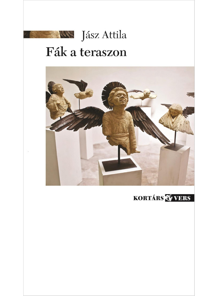 FÁK A TERASZON