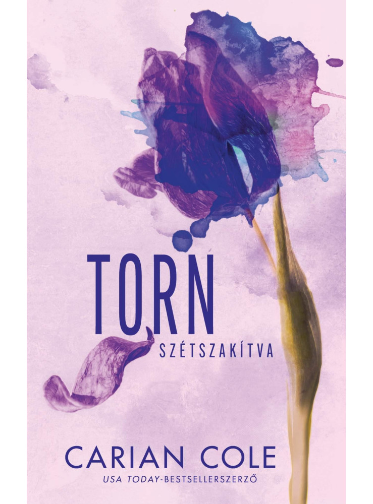 TORN - SZÉTSZAKÍTVA (ÉLDEKORÁLT)