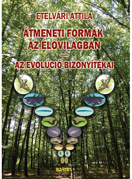ÁTMENETI FORMÁK AZ ÉLŐVILÁGBAN - AZ EVOLÚCIÓ BIZONYÍTÉKAI ÁTMENETI FORMÁK AZ ÉLŐVILÁGBAN - AZ EVOLÚCIÓ BIZONYÍTÉKAI