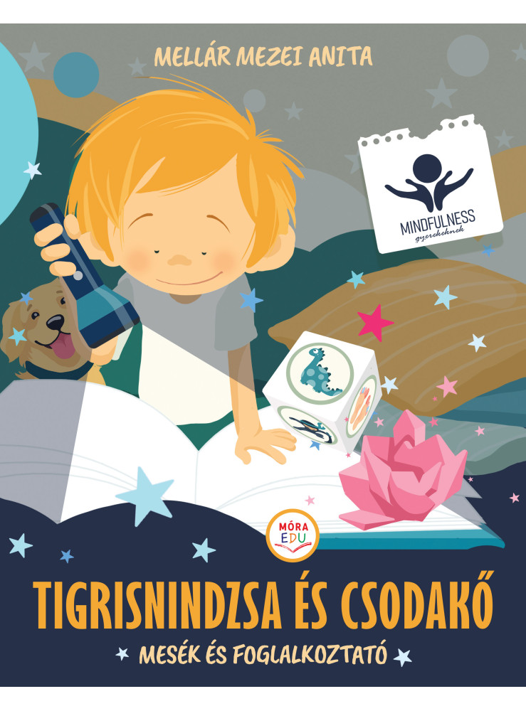 TIGRISNINDZSA ÉS CSODAKŐ - MESÉK ÉS FOGLALKOZTATÓ TIGRISNINDZSA ÉS CSODAKŐ - MESÉK ÉS FOGLALKOZTATÓ