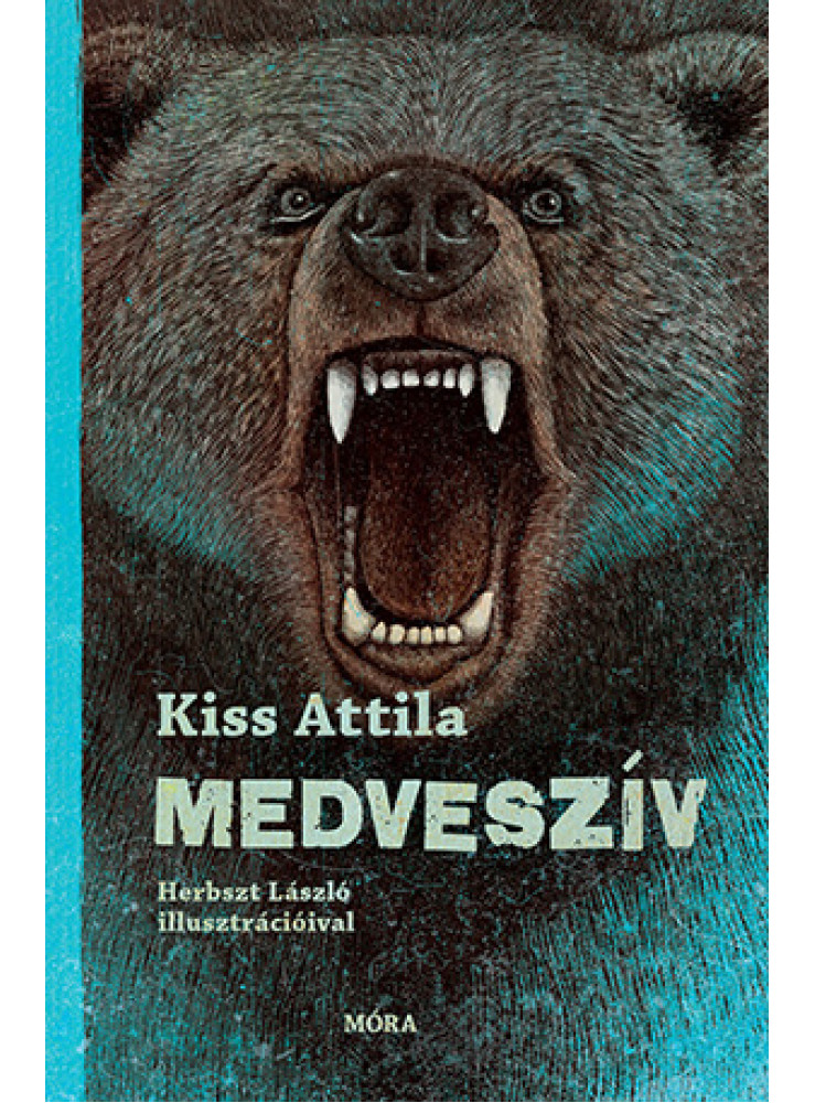 MEDVESZÍV