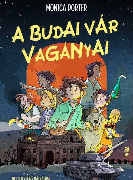 A BUDAI VÁR VAGÁNYAI