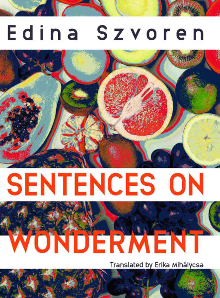 SENTENCES ON WONDERMENT