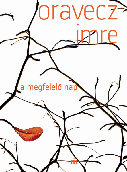 A MEGFELELŐ NAP