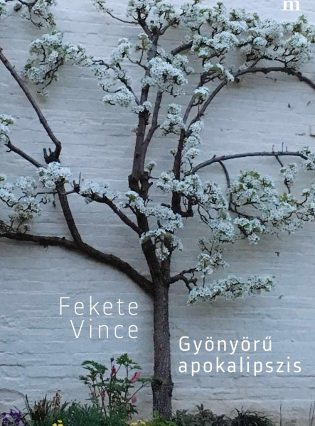 GYÖNYÖRŰ APOKALIPSZIS