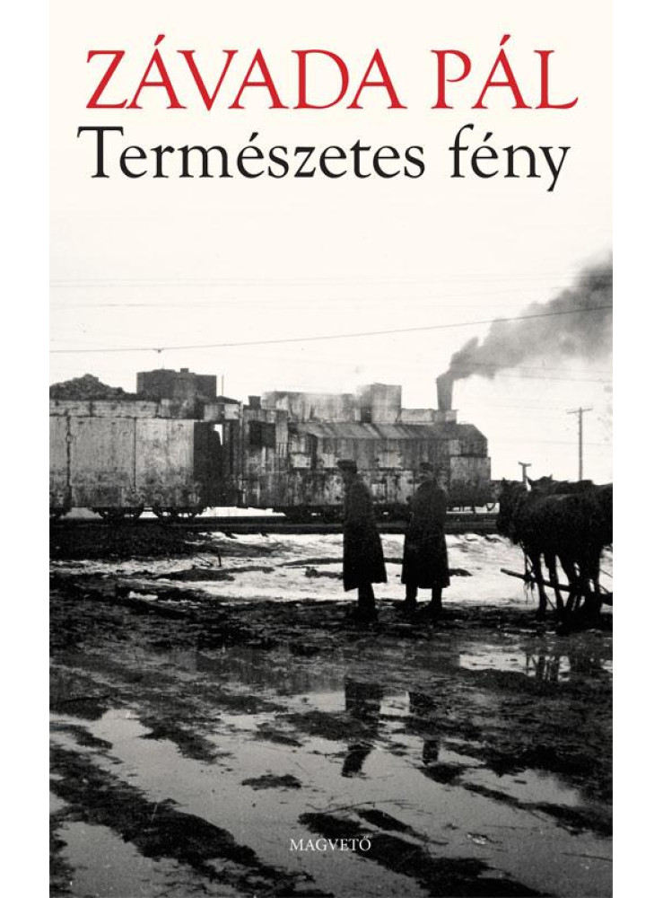 TERMÉSZETES FÉNY - TERMÉSZETES FÉNY -