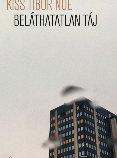 BELÁTHATATLAN TÁJ