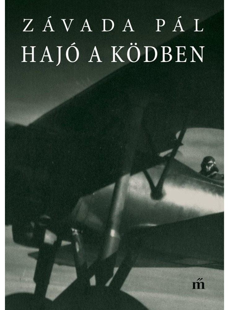HAJÓ A KÖDBEN