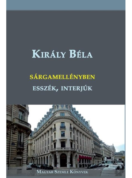 SÁRGAMELLÉNYBEN - ESSZÉK, INTERJÚK