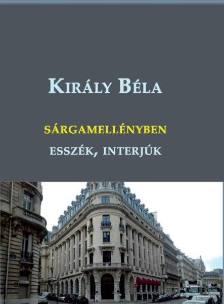 SÁRGAMELLÉNYBEN - ESSZÉK, INTERJÚK