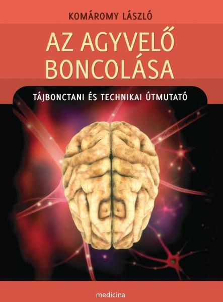 AZ AGYVELŐ BONCOLÁSA