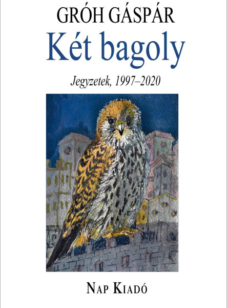 KÉT BAGOLY - TŰNŐDÉSEK, 1997-2020