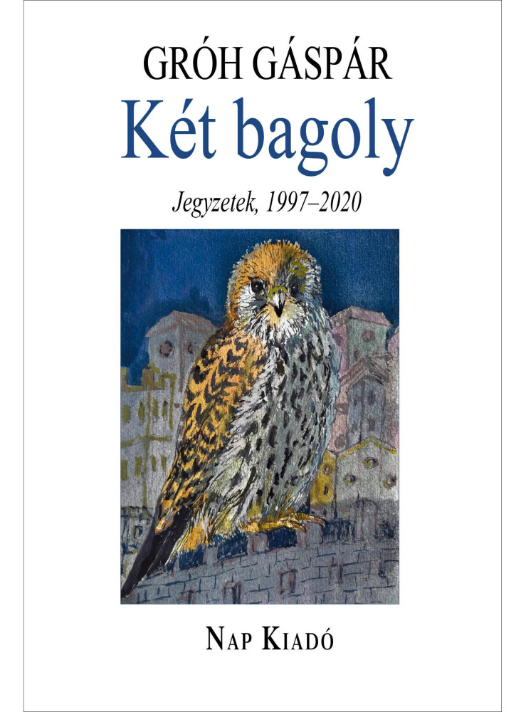 KÉT BAGOLY - TŰNŐDÉSEK, 1997-2020 KÉT BAGOLY - TŰNŐDÉSEK, 1997-2020