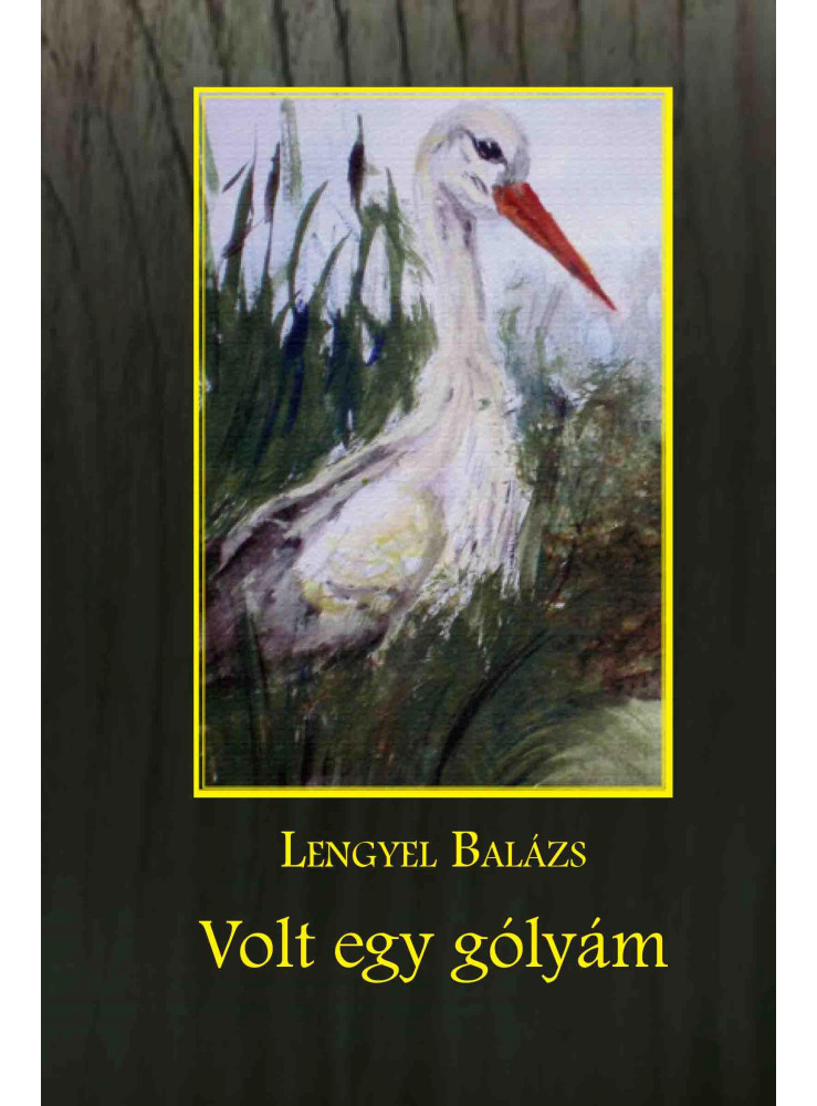 VOLT EGY GÓLYÁM