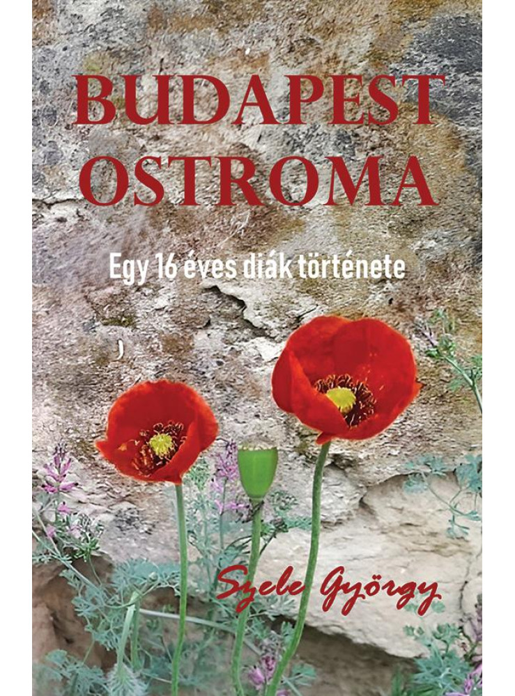 BUDAPEST OSTROMA EGY 16 ÉVES DIÁK TÖRTÉNETE. BUDAPEST OSTROMA EGY 16 ÉVES DIÁK TÖRTÉNETE.