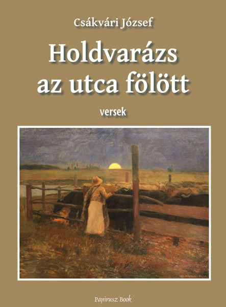 HOLDVARÁZS AT UTCA FELETT