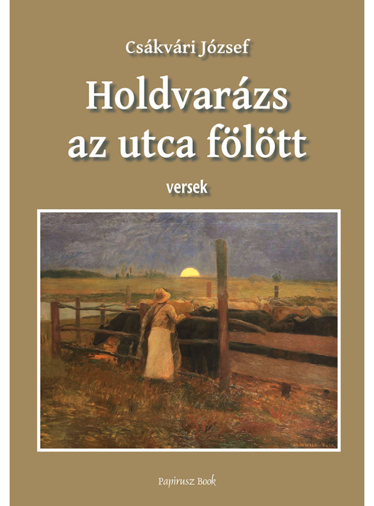 HOLDVARÁZS AT UTCA FELETT