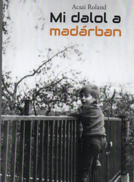 MI DALOL  A MADÁRBAN