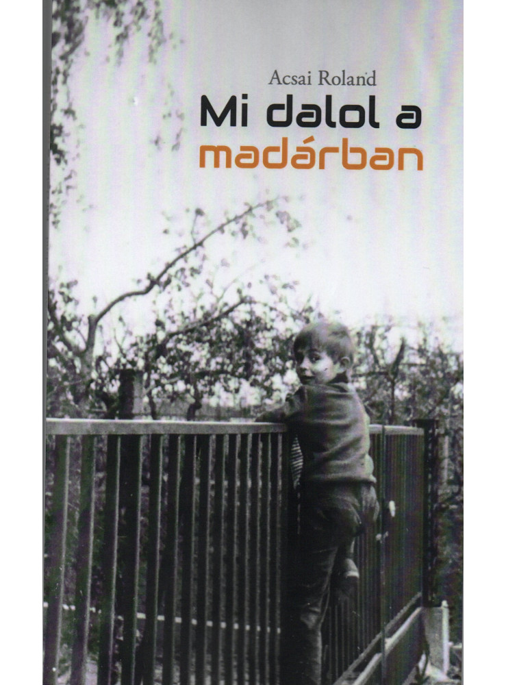 MI DALOL A MADÁRBAN MI DALOL A MADÁRBAN