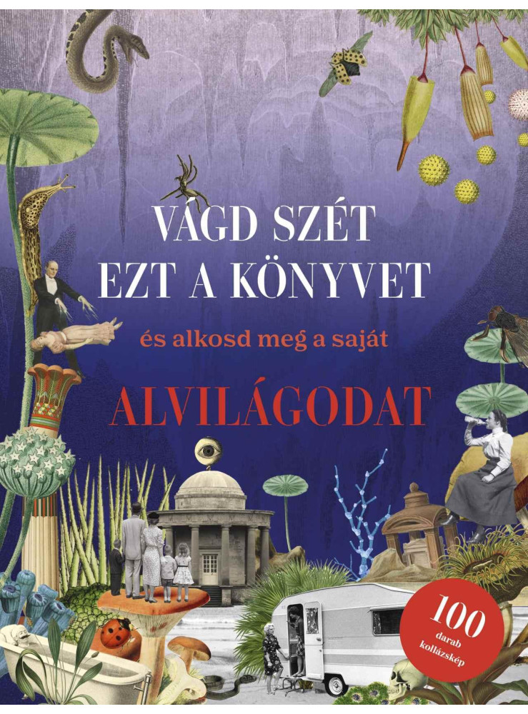 VÁGD SZÉT EZT A KÖNYVET, ÉS ALKOSD MEG A SAJÁT ALVILÁGODAT - KOLLÁZSKÖNYV
