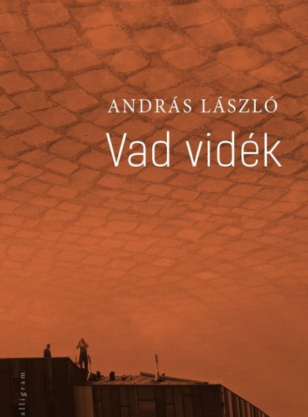 VAD VIDÉK