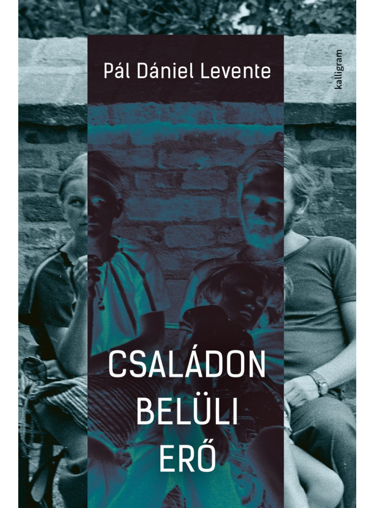 CSALÁDON BELÜLI ERŐ CSALÁDON BELÜLI ERŐ