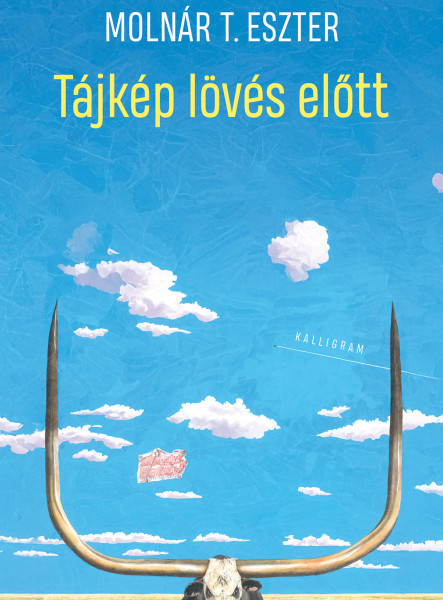TÁJKÉP LÖVÉS ELŐTT