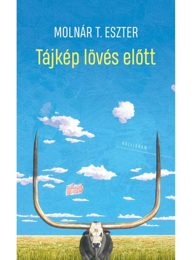 TÁJKÉP LÖVÉS ELŐTT