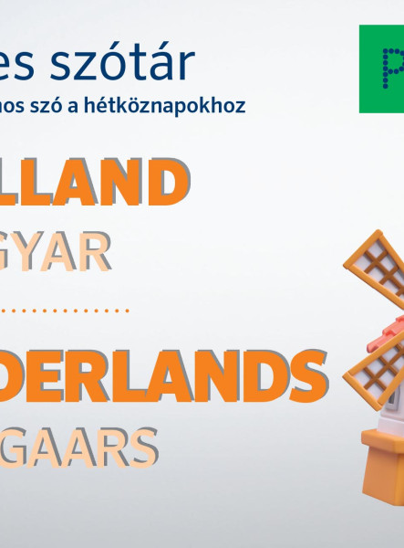 PONS KÉPES SZÓTÁR HOLLAND-MAGYAR