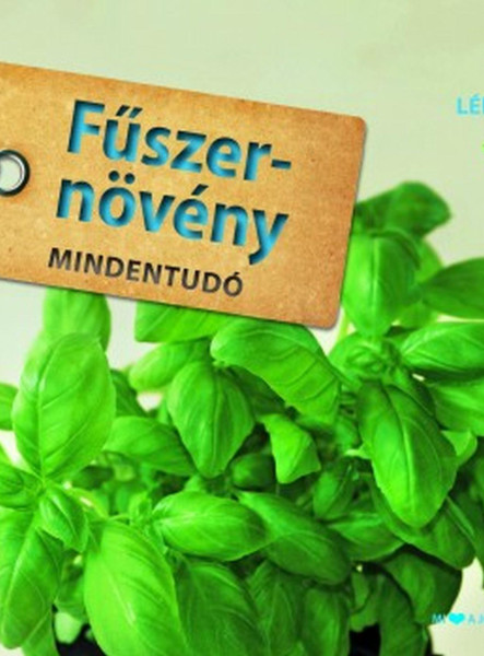 FŰSZERNÖVÉNY MINDENTUDÓ