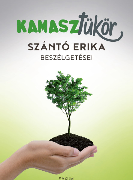 KAMASZTÜKÖR