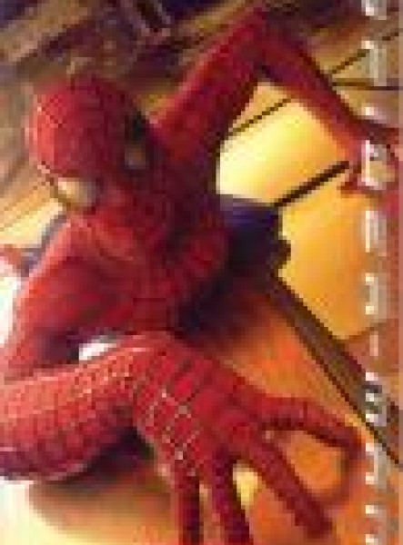 SPIDER-MAN / LEVEL 1