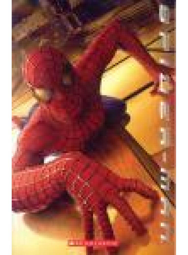 SPIDER-MAN / LEVEL 1 SPIDER-MAN / LEVEL 1