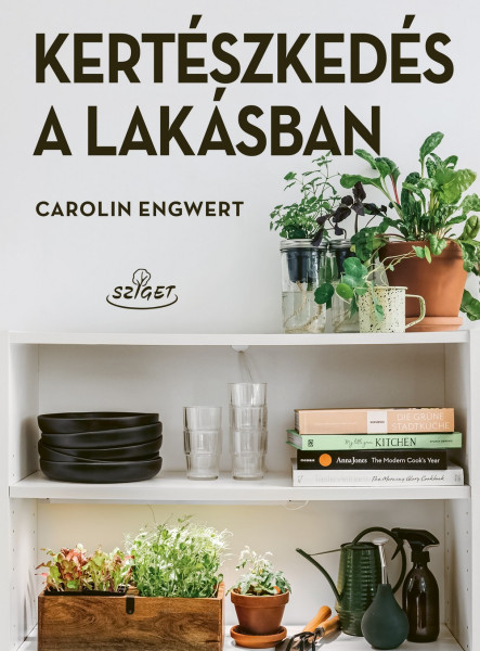 KERTÉSZKEDÉS A LAKÁSBAN