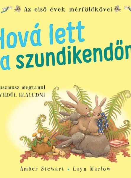 HOVÁ LETT A SZUNDIKENDŐM?