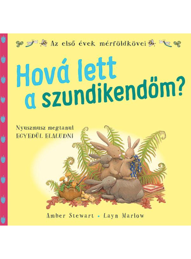 HOVÁ LETT A SZUNDIKENDŐM?